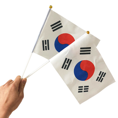 태극기 베니싱 케인 (Korean flag Vanishing Cane Zebra)