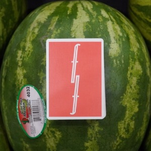 워터멜론 폰테인 (Fontaine V12 - Watermelons)